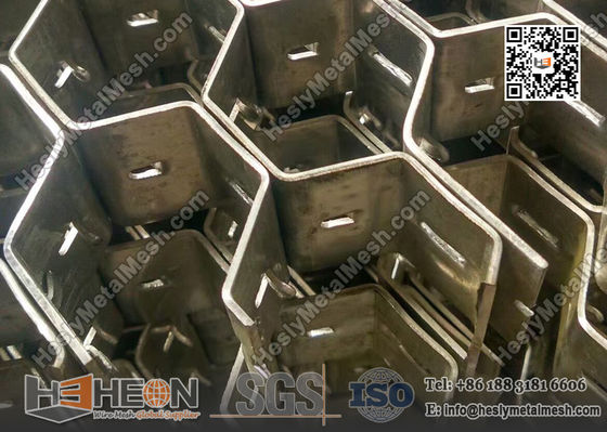 中国 310SS ステンレス鋼 2X25X50mm 六角メッシュ 中国工場 / サプライヤー サプライヤー