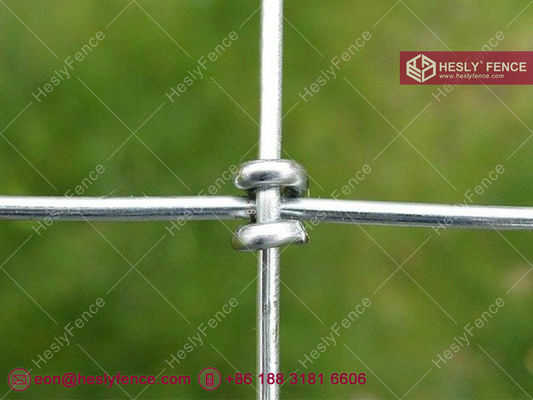 中国 S ノットワイヤ網網フェンス,ホース網フェンス,ガルバン化, 2X50m,ヘスリーフェンス 中国フィールド網フェンスサプライヤー サプライヤー