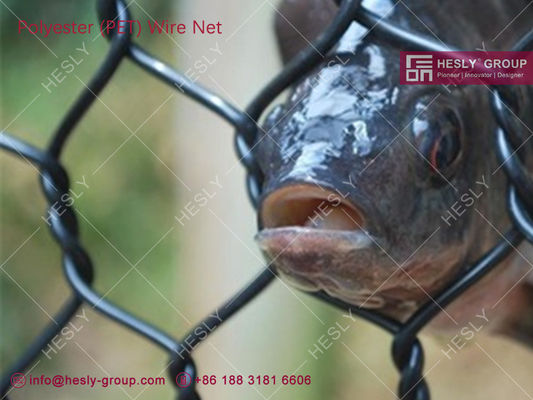 中国 ポリエステル製の魚場織網 HESLY 水産物飼育ケージシステム 2.5mmX45x50mm サプライヤー