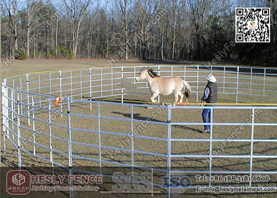 中国 飼育用パネル (サプライヤー) 畜産用フェンス 馬飼育用パネル サプライヤー