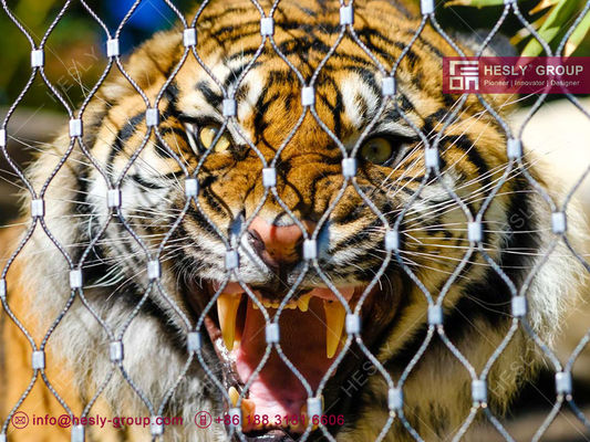 316Lステンレス鋼 動物園の網 サプライヤー