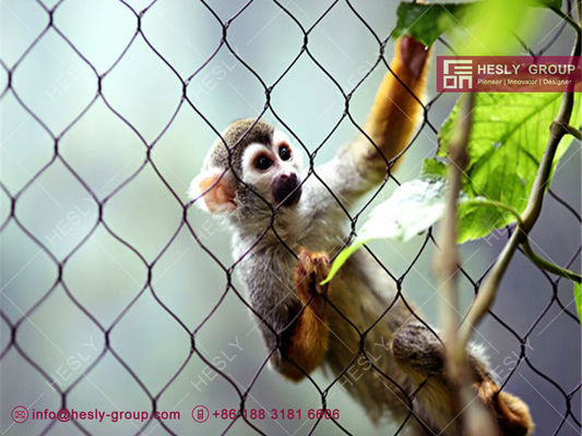 動物園の囲い用316Lステンレス鋼ワイヤーケーブル動物ケージ | 中国動物園メッシュ工場 サプライヤー