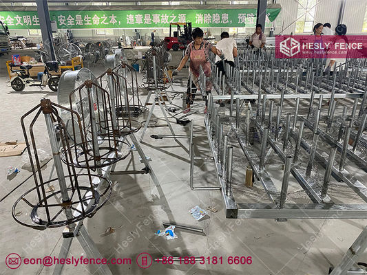 MZP プータンカワイヤ, 10X10m, 0.5/0.6/0.8/0.9mm ワイヤ直径, 高張力鋼鉄ワイヤネット, 工場販売, 中国 ヘスリーフェンス サプライヤー