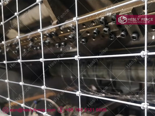 S ノットワイヤ網網フェンス,ホース網フェンス,ガルバン化, 2X50m,ヘスリーフェンス 中国フィールド網フェンスサプライヤー サプライヤー