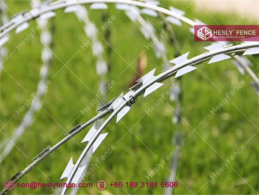 BTO-22 コンサートリーナ razor barbed wire コイル | HGI | 直径500mm | HeslyFence-China サプライヤー
