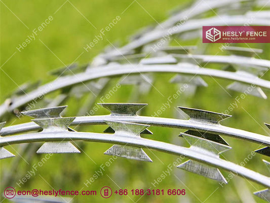 BTO-22 コンサートリーナ razor barbed wire コイル | HGI | 直径500mm | HeslyFence-China サプライヤー