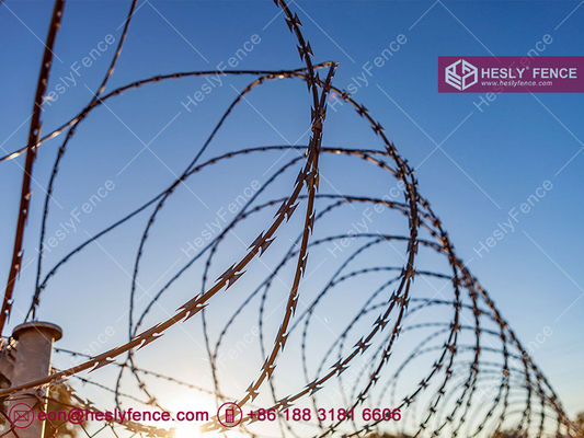 BTO-22 コンサートリーナ razor barbed wire コイル | HGI | 直径500mm | HeslyFence-China サプライヤー