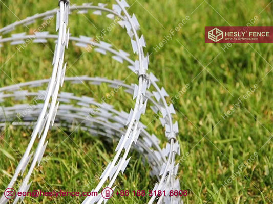 BTO-22 コンサートリーナ razor barbed wire コイル | HGI | 直径500mm | HeslyFence-China サプライヤー